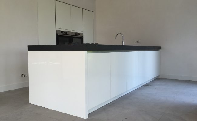 assendelft-2016-5